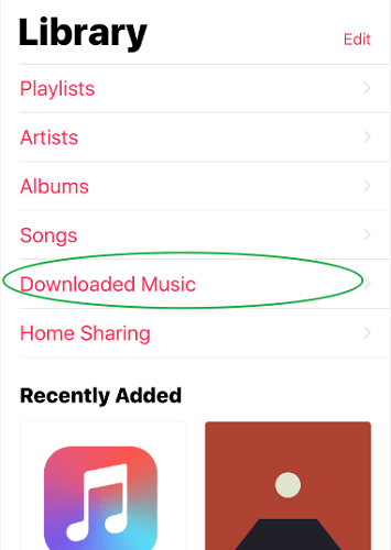 iphone downloaded music