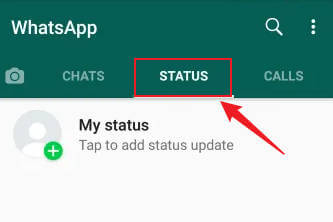 check your whatsapp status