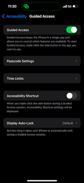 turn on guided access in settings