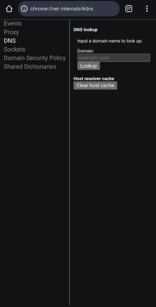 check incognito history from dns
    queries