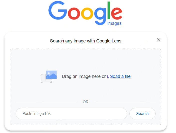 use google image search to view private photos