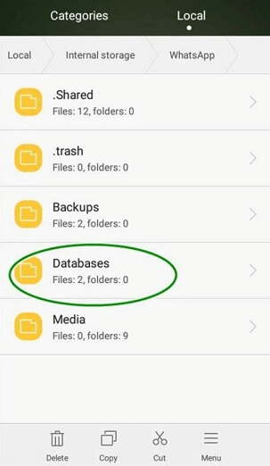 access whatsapp folder