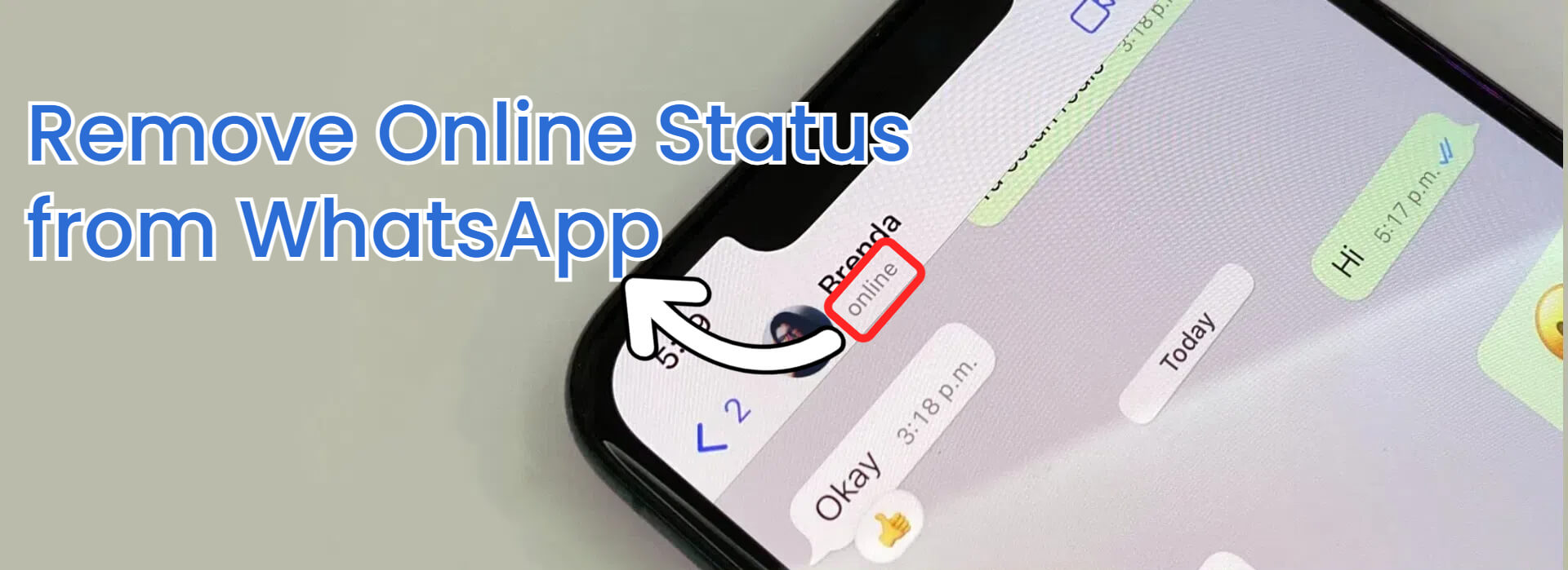 remove online status whatsapp