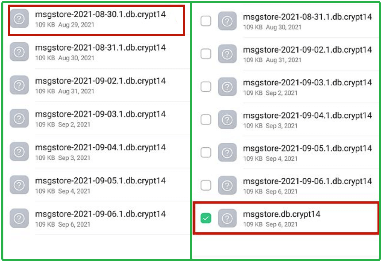 locate and rename the backup file