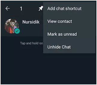 unhide chat in gb whatsapp