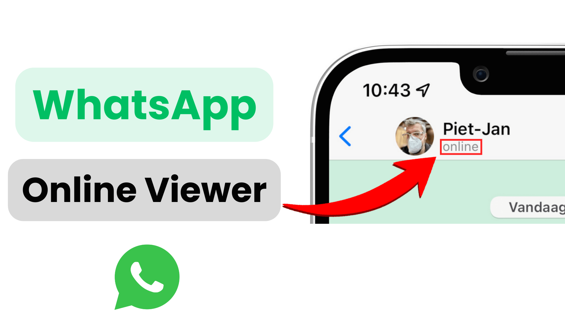 online whatsapp viewer