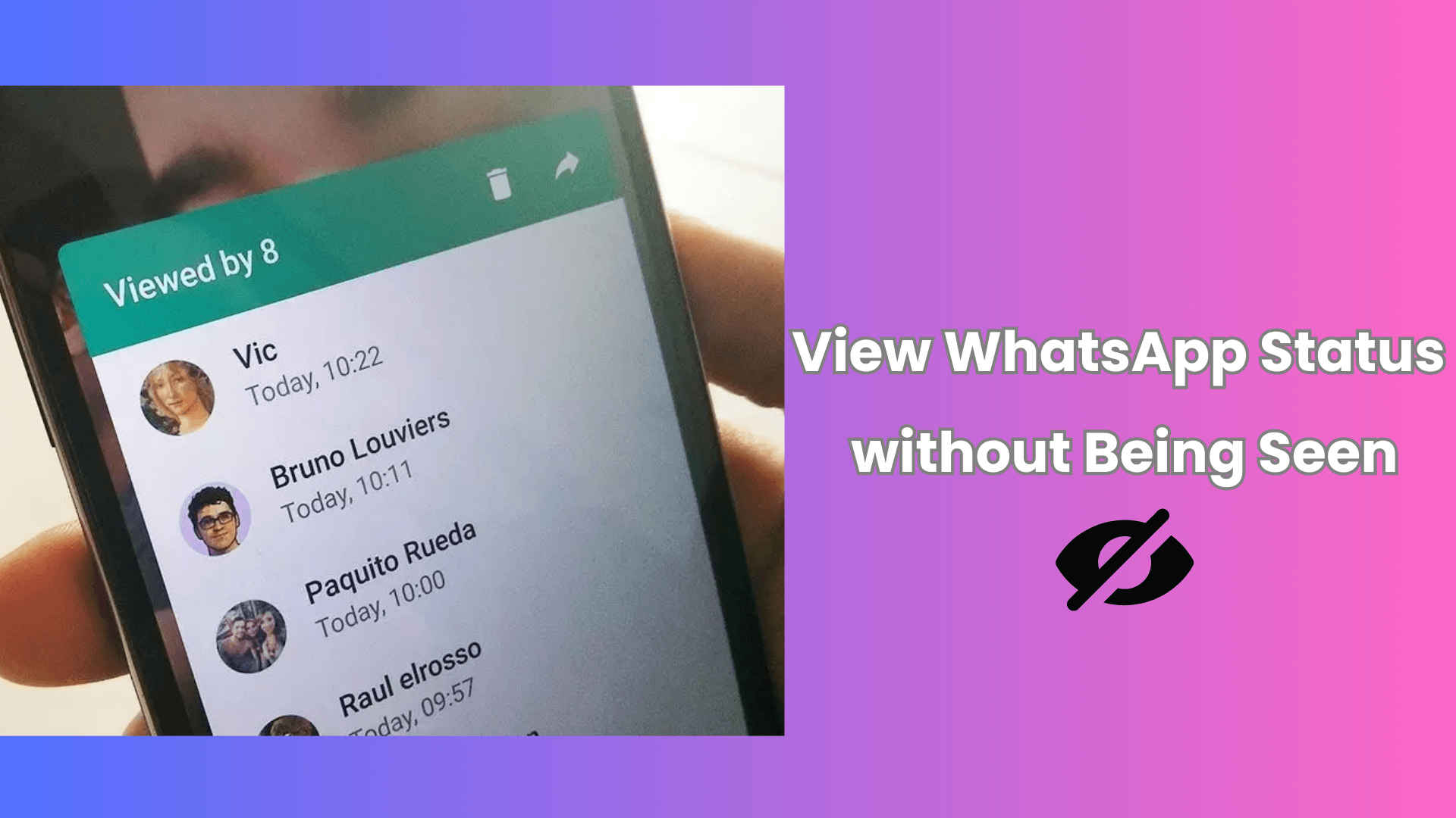 whatsapp story viewer online