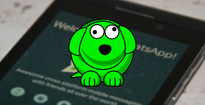 get whatsapp online notification with whatsdog