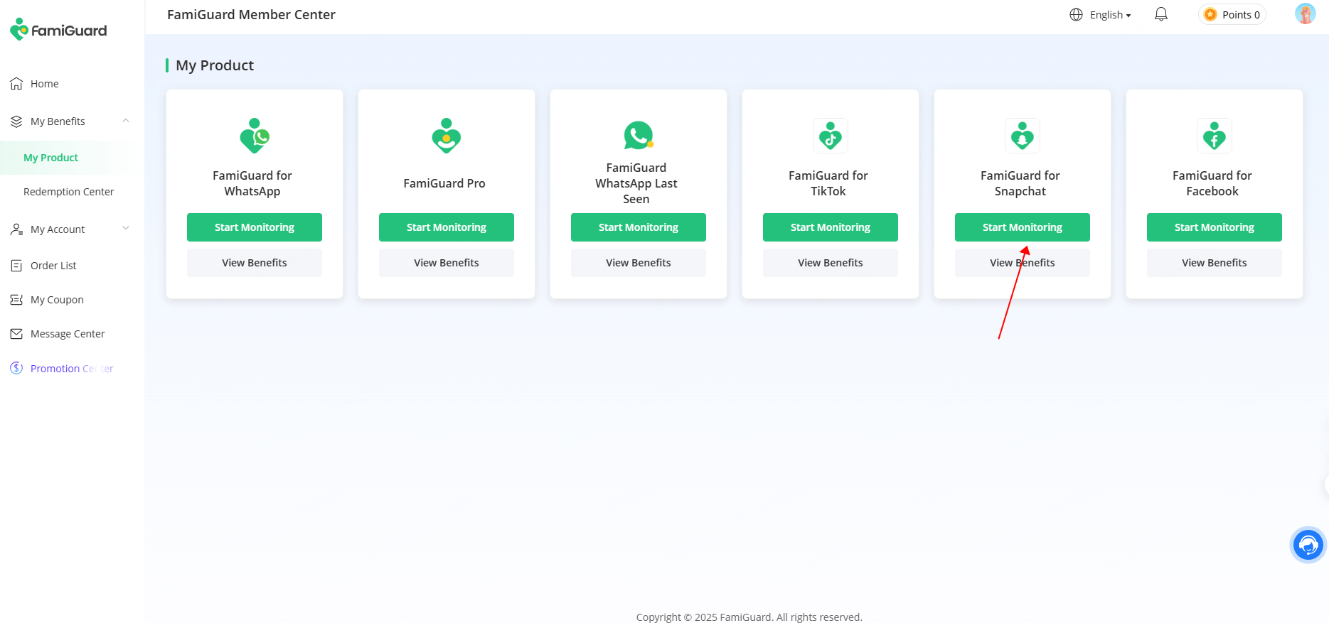 WhatsApp online history