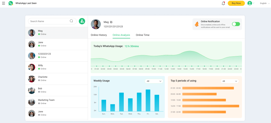 WhatsApp online analysis